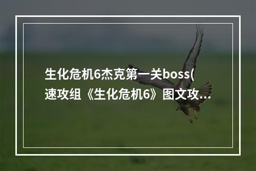 生化危机6杰克第一关boss(速攻组《生化危机6》图文攻略 杰克篇 第一章)