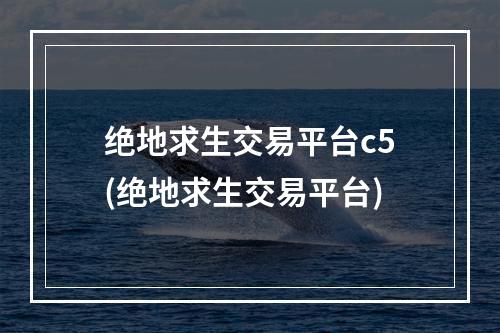 绝地求生交易平台c5(绝地求生交易平台)