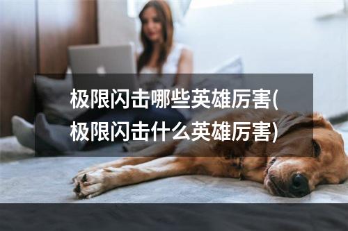 极限闪击哪些英雄厉害(极限闪击什么英雄厉害)