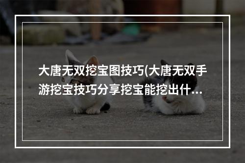 大唐无双挖宝图技巧(大唐无双手游挖宝技巧分享挖宝能挖出什么好东西)