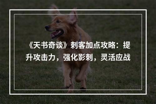 《天书奇谈》刺客加点攻略：提升攻击力，强化影刺，灵活应战