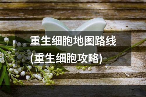 重生细胞地图路线(重生细胞攻略)