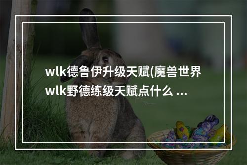 wlk德鲁伊升级天赋(魔兽世界wlk野德练级天赋点什么 wlk德鲁伊练级天赋加点)