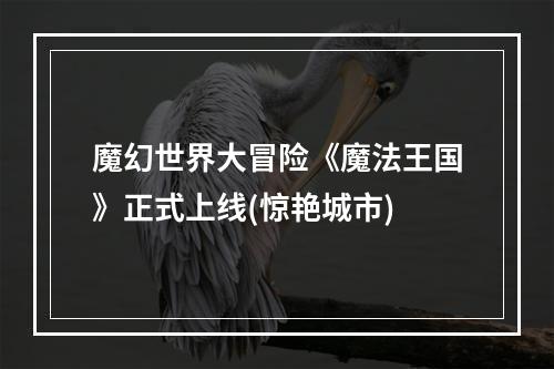 魔幻世界大冒险《魔法王国》正式上线(惊艳城市)