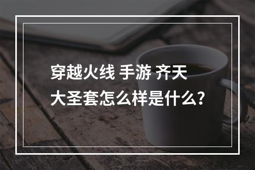 穿越火线 手游 齐天大圣套怎么样是什么？