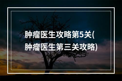 肿瘤医生攻略第5关(肿瘤医生第三关攻略)