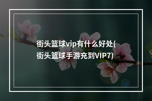 街头篮球vip有什么好处(街头篮球手游充到VIP7)