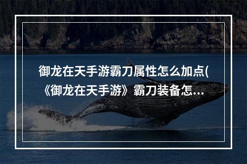 御龙在天手游霸刀属性怎么加点(《御龙在天手游》霸刀装备怎么选择 霸刀装备选择攻略  )