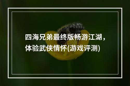 四海兄弟最终版畅游江湖，体验武侠情怀(游戏评测)