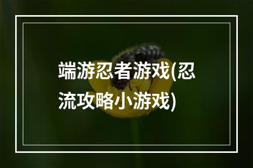 端游忍者游戏(忍流攻略小游戏)