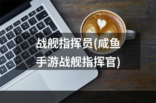 战舰指挥员(咸鱼手游战舰指挥官)