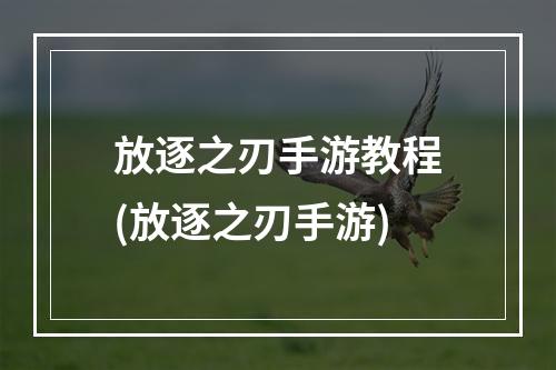 放逐之刃手游教程(放逐之刃手游)