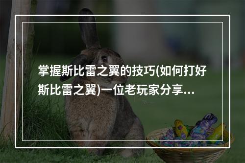 掌握斯比雷之翼的技巧(如何打好斯比雷之翼)一位老玩家分享的经验