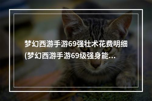 梦幻西游手游69强壮术花费明细(梦幻西游手游69级强身能点到多少钱)