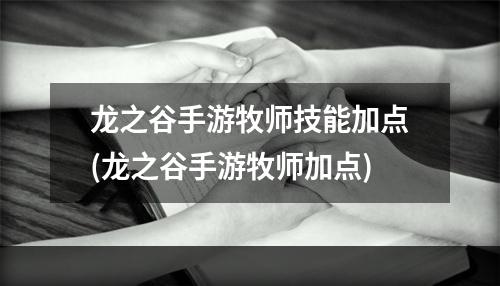 龙之谷手游牧师技能加点(龙之谷手游牧师加点)