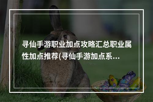 寻仙手游职业加点攻略汇总职业属性加点推荐(寻仙手游加点系统)