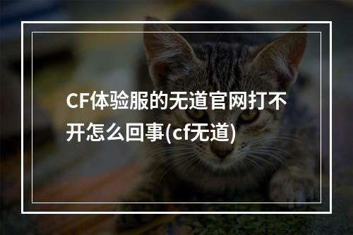 CF体验服的无道官网打不开怎么回事(cf无道)