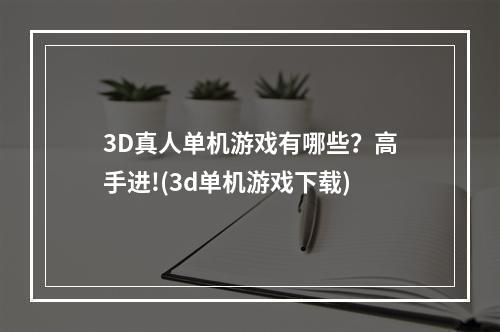 3D真人单机游戏有哪些？高手进!(3d单机游戏下载)