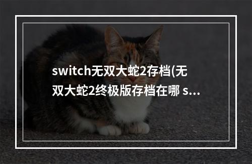 switch无双大蛇2存档(无双大蛇2终极版存档在哪 steam存档位置一览)