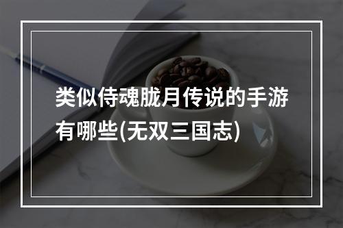 类似侍魂胧月传说的手游有哪些(无双三国志)