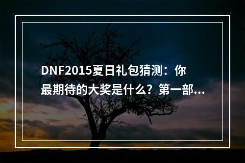 DNF2015夏日礼包猜测：你最期待的大奖是什么？第一部分：DNF2015夏日礼包的内容据可靠消息，DNF2015夏日礼包将会包含多个惊喜，让玩家们兴奋不已。首