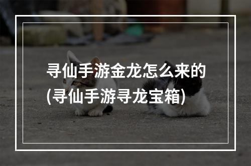 寻仙手游金龙怎么来的(寻仙手游寻龙宝箱)