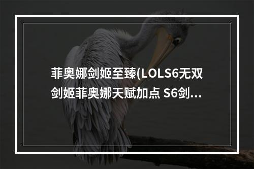 菲奥娜剑姬至臻(LOLS6无双剑姬菲奥娜天赋加点 S6剑姬天赋加点出装选择)