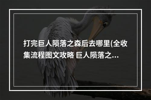 打完巨人陨落之森后去哪里(全收集流程图文攻略 巨人陨落之森 最后的巨人 amp 咒缚)