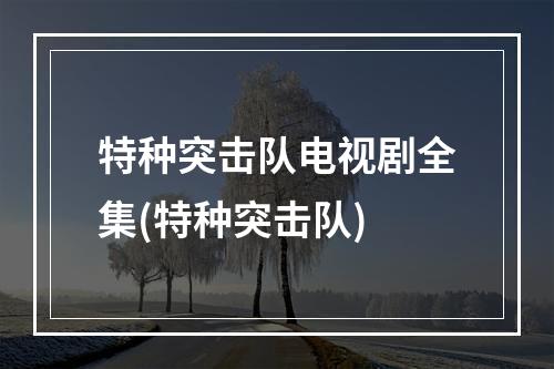 特种突击队电视剧全集(特种突击队)