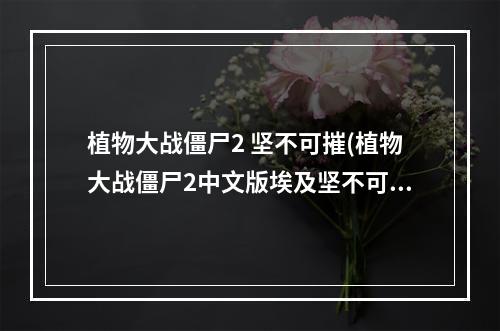 植物大战僵尸2 坚不可摧(植物大战僵尸2中文版埃及坚不可摧第三天怎么过)