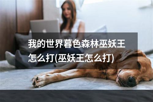 我的世界暮色森林巫妖王怎么打(巫妖王怎么打)