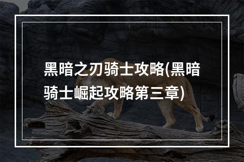 黑暗之刃骑士攻略(黑暗骑士崛起攻略第三章)