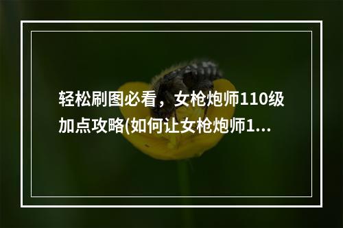 轻松刷图必看，女枪炮师110级加点攻略(如何让女枪炮师110级轻松刷图高效升级？)