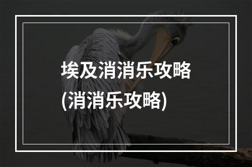 埃及消消乐攻略(消消乐攻略)