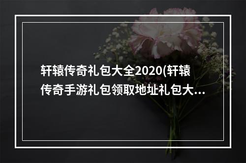 轩辕传奇礼包大全2020(轩辕传奇手游礼包领取地址礼包大全任意领)