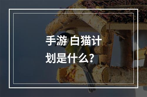 手游 白猫计划是什么？