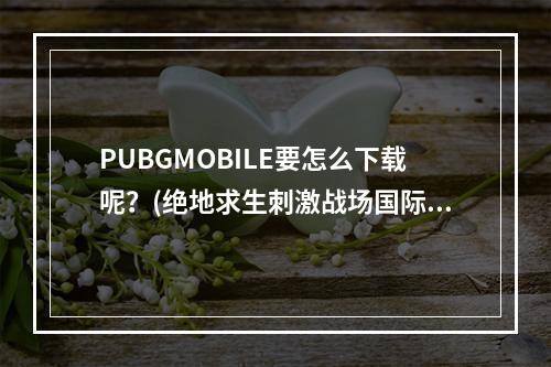 PUBGMOBILE要怎么下载呢？(绝地求生刺激战场国际服手游下载)