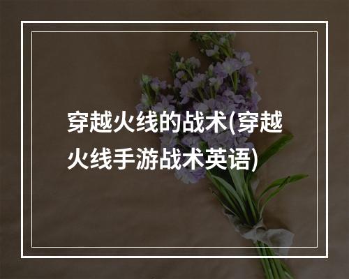 穿越火线的战术(穿越火线手游战术英语)