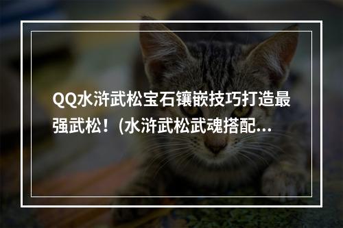 QQ水浒武松宝石镶嵌技巧打造最强武松！(水浒武松武魂搭配攻略)