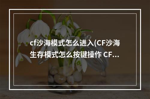 cf沙海模式怎么进入(CF沙海生存模式怎么按键操作 CF沙海生存模式按键设置)