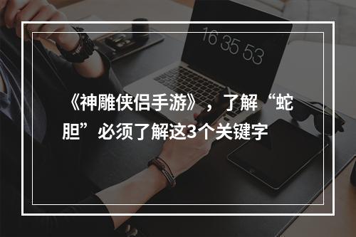 《神雕侠侣手游》，了解“蛇胆”必须了解这3个关键字