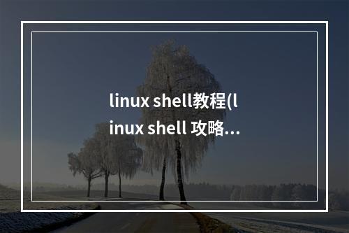 linux shell教程(linux shell 攻略)