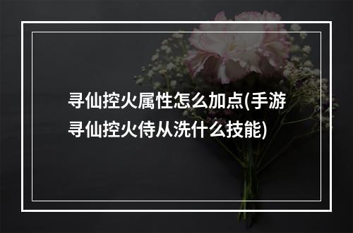 寻仙控火属性怎么加点(手游寻仙控火侍从洗什么技能)