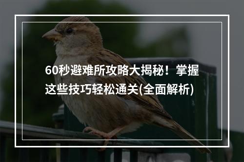 60秒避难所攻略大揭秘！掌握这些技巧轻松通关(全面解析)