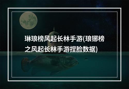 琳琅榜风起长林手游(琅铘榜之风起长林手游捏脸数据)