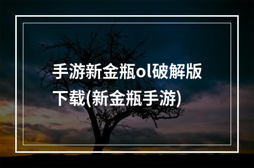 手游新金瓶ol破解版下载(新金瓶手游)