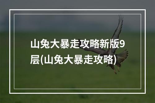 山兔大暴走攻略新版9层(山兔大暴走攻略)