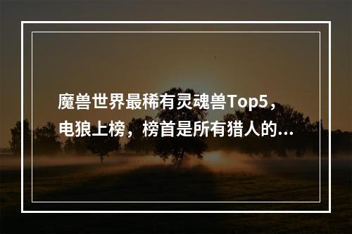 魔兽世界最稀有灵魂兽Top5，电狼上榜，榜首是所有猎人的梦想！(魔兽世界猎人稀有宠物)