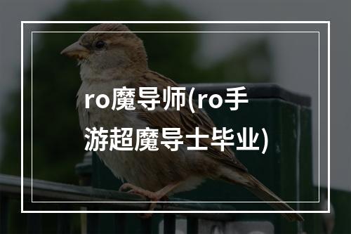 ro魔导师(ro手游超魔导士毕业)