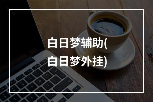 白日梦辅助(白日梦外挂)